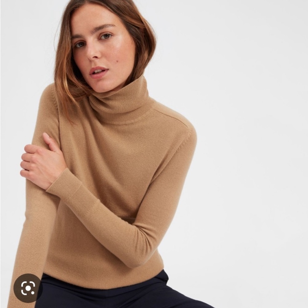 Everlane The Cashmere Turtleneck Sweater Size S